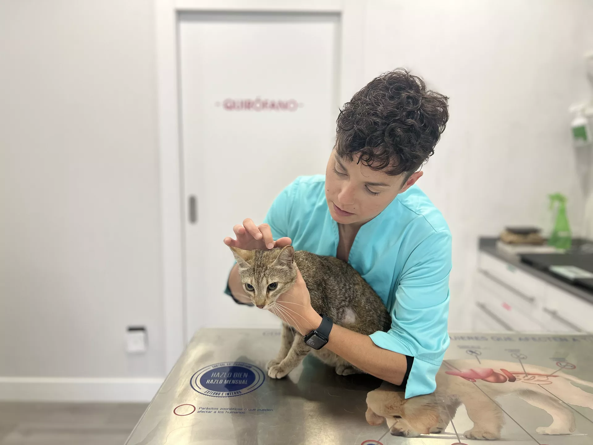 Meritxell, veterinaria examinando un gato