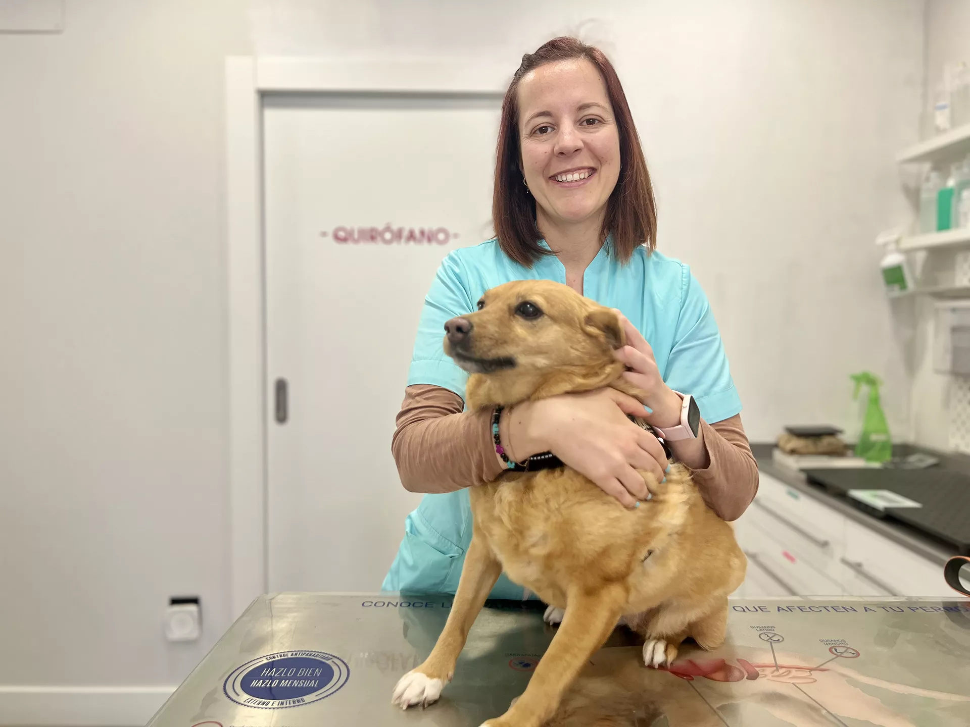 Míriam, veterinaria con un perro sobre la camilla